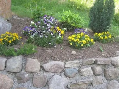 Jardin de l'établissement Gîte de charme dans les Vosges Saônoises - FR-1-583-412
