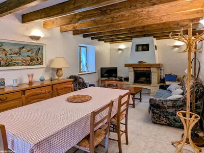 Télévision ou salle de divertissement dans l'établissement Charmante maison en pierre au cœur des Vosges - FR-1-583-436