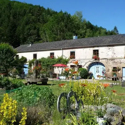 Charme Authentique au Moulin de Saphoz avec Grand Jardin - FR-1-583-499