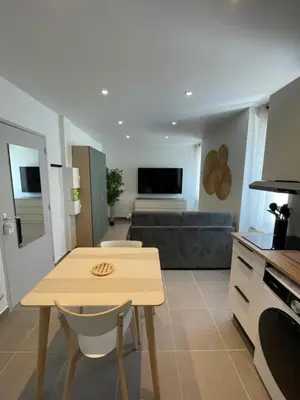 Cuisine ou kitchenette dans l'établissement Les lionceaux