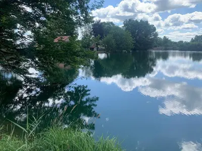 Vue sur la rivière ou le fleuve situé(e) à proximité de le chalet