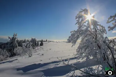 L'établissement L'Atypique Vosgien en hiver