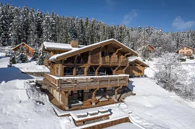 L'établissement Forest Lodge, a luxury chalet with sauna and jacuzzi en hiver