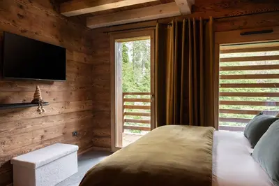 Télévision ou salle de divertissement dans l'établissement Forest Lodge, a luxury chalet with sauna and jacuzzi