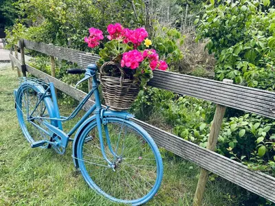 Vélo sur le terrain de l'établissement Les Brimbelles ou dans les environs