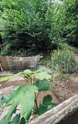 Jardin de l'établissement Les Brimbelles