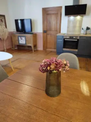 Cuisine ou kitchenette dans l'établissement Elegant deux pièces au centre de Sélestat