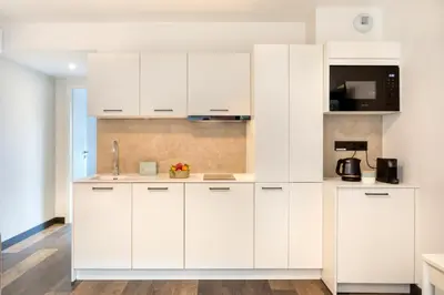 Cuisine ou kitchenette dans l'établissement Les Appartements Husseren Collections - Proche Colmar - Eguisheim