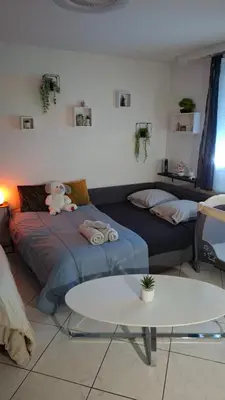 Coin salon dans l'établissement T1 hyper centre Saint-Louis 