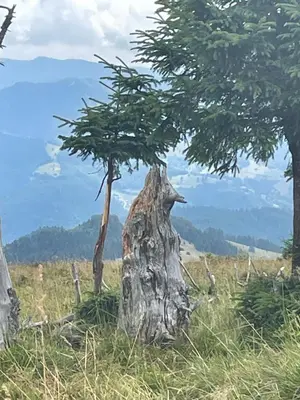 Paysage naturel près de l'appartement