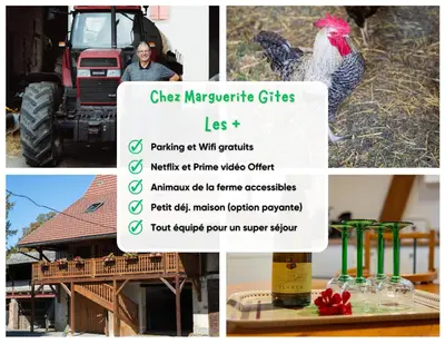 Plan de l'établissement Insolit'appart à la ferme