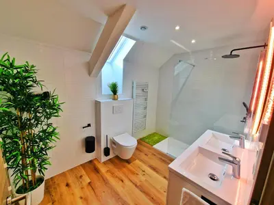 Salle de bains dans l'établissement BALI SPA-4 Pers-Jacuzzi-Parking-Jardin-Clim-Colmar