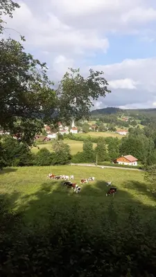Plan de l'établissement Chalet des bruyères
