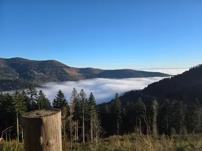 Paysage naturel près de le chalet