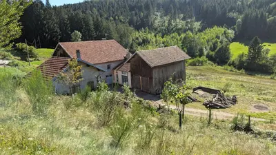 Paysage naturel près de le chalet