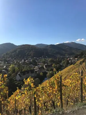 Vue générale sur la montagne ou vue sur la montagne depuis la maison de vacances