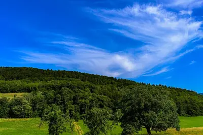 Paysage naturel près de l'appartement