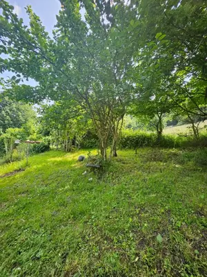 Jardin de l'établissement Bienvenue chez jacquou Chambre d'hôte chez l'habitant