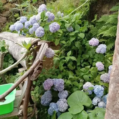 Bienvenue chez jacquou Chambre d'hôte chez l'habitant