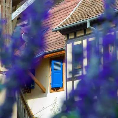 Bâtiment de l'appartement