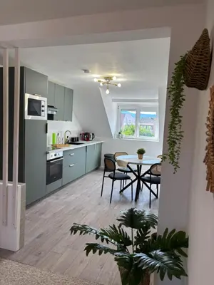 Cuisine ou kitchenette dans l'établissement Le Col'Vert - Appartement 50m2 - Colmar Centre