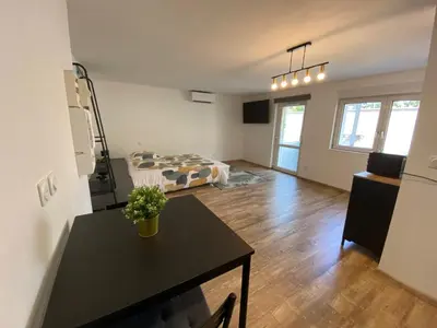 Cuisine ou kitchenette dans l'établissement Studio climatisé 30 m2 à 2 min de Colmar