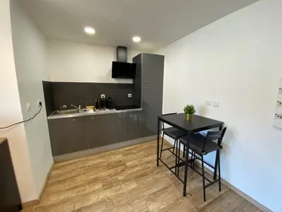 Cuisine ou kitchenette dans l'établissement Studio climatisé 30 m2 à 2 min de Colmar