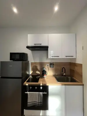 Cuisine ou kitchenette dans l'établissement Le 13 - Petit F2 rénové Mulhouse centre - stationnement gratuit