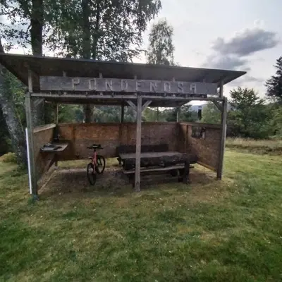 Jardin de l'établissement Chalet le Ponderosa