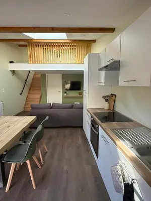 Cuisine ou kitchenette dans l'établissement Duplex appartement en plein centre