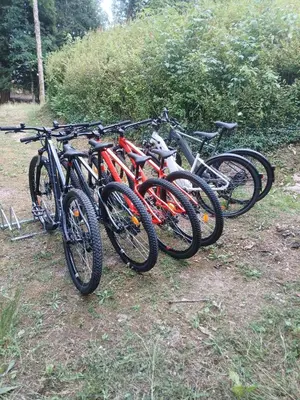 Vélo sur le terrain de l'établissement La Demoiselle des Roches ou dans les environs