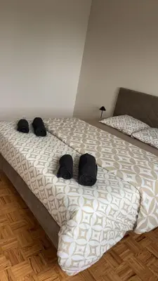 Plan de l'établissement Magnifique, appartement spacieux, deux chambres , deux terrasse, un grand salon, salle à manger, pas loin de la gare de Muhlouse