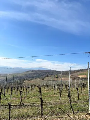 Paysage naturel près de l'appartement
