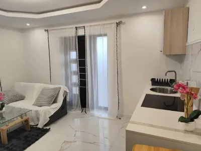 Cuisine ou kitchenette dans l'établissement Appartement meublé Rixheim Alsace