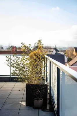 Balcon ou terrasse dans l'établissement Belvedere