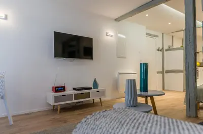 Télévision ou salle de divertissement dans l'établissement Grand studio Colmar Centre