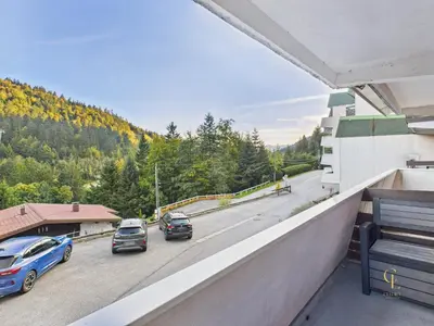 Vue générale sur la montagne ou vue sur la montagne depuis l'appartement