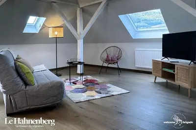 Télévision ou salle de divertissement dans l'établissement Le Hahnenberg - la Maison des Vignerons