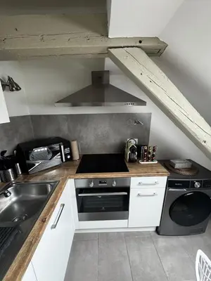 Cuisine ou kitchenette dans l'établissement Appartement cosy au centre ville de Colmar