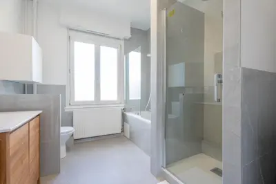 Salle de bains dans l'établissement Magnifique Appartement Mulhouse Stationnement Gratuit