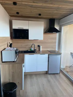 Cuisine ou kitchenette dans l'établissement Le Hibou appartement avec vue lac et montagnes
