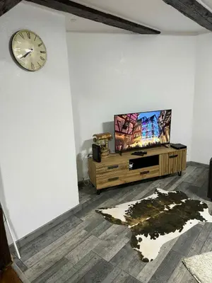 Télévision ou salle de divertissement dans l'établissement Le petit nid de cigogne