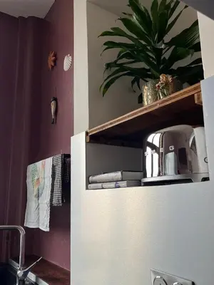 Cuisine ou kitchenette dans l'établissement Apparemment de style 70s