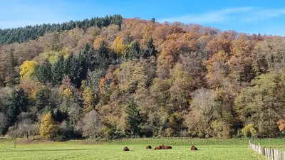 Paysage naturel près de l'appartement