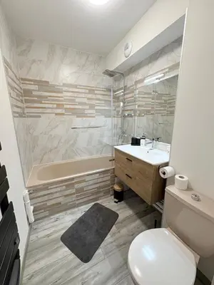 Salle de bains dans l'établissement Magnifique logement hyper centre Mulhouse Lambert