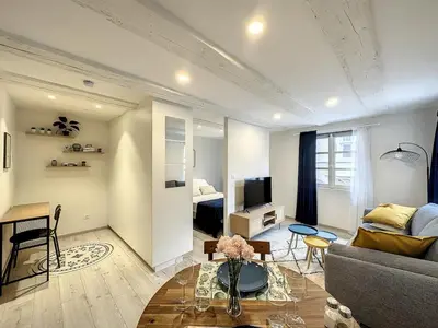 Télévision ou salle de divertissement dans l'établissement La Grenouillere Chic Appartement Centre Colmar