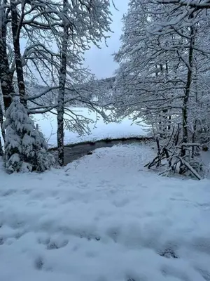 L'établissement Chalet cosy en pleine nature proche Gérardmer en hiver