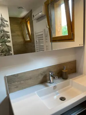 Salle de bains dans l'établissement Chalet cosy en pleine nature proche Gérardmer