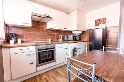 Cuisine ou kitchenette dans l'établissement Magnifique Studio au coeur de Huningue le Central