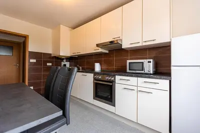 Cuisine ou kitchenette dans l'établissement Super appartement Near Basel